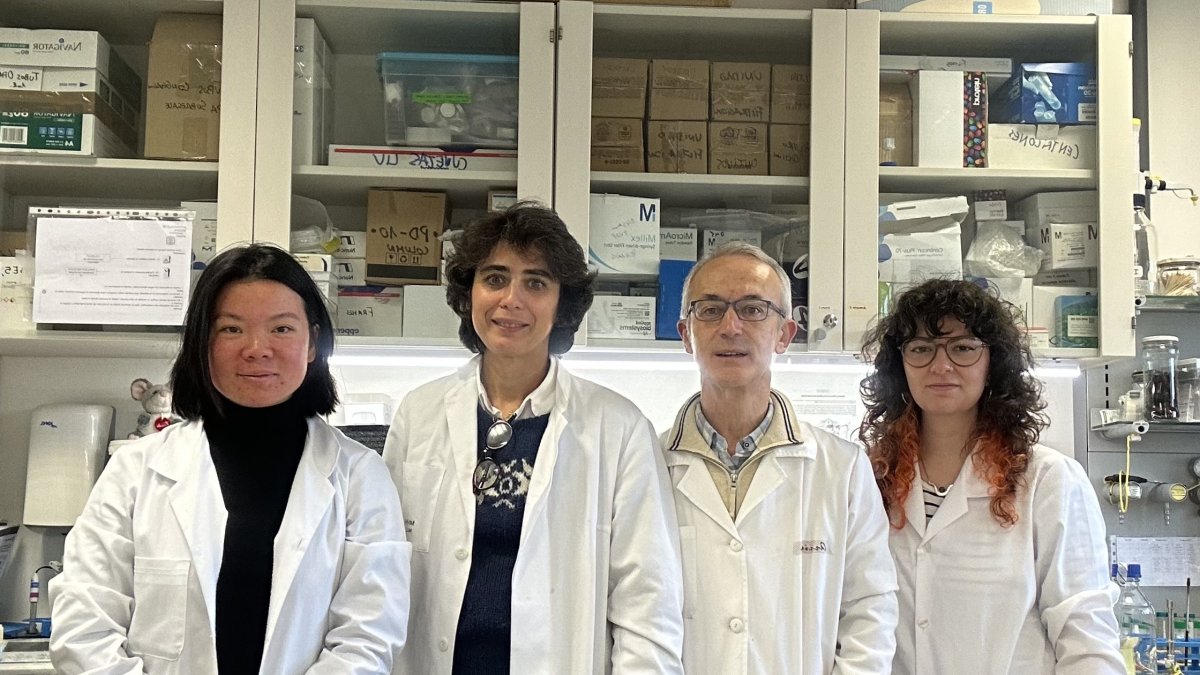 Los investigadores responsables del estudio Raquel Garcimartín-Bailón, María Luisa del Río-González, José-Ignacio Rodríguez-Barbosa y María Santiago Carretero.
