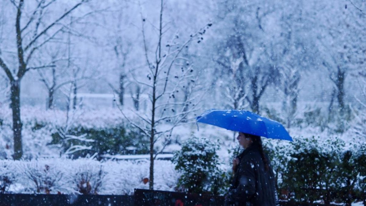 Nieve en Laguna de Duero, en una imagen de archivo.