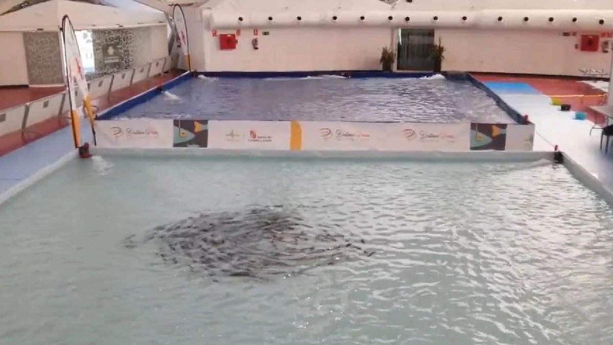 Balsas para aprender a pescar en la Cúpula del Milenio de Valladolid.