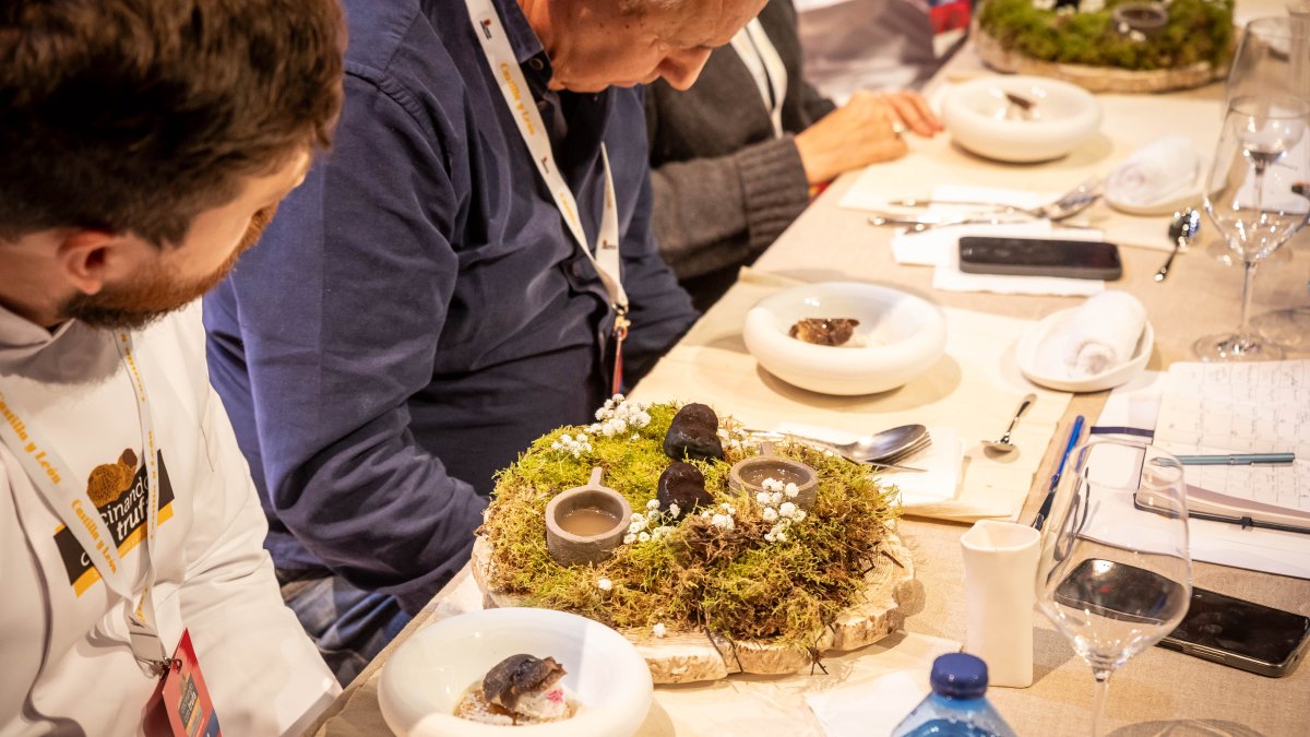 Última edición de Cocinando con trufa en Soria