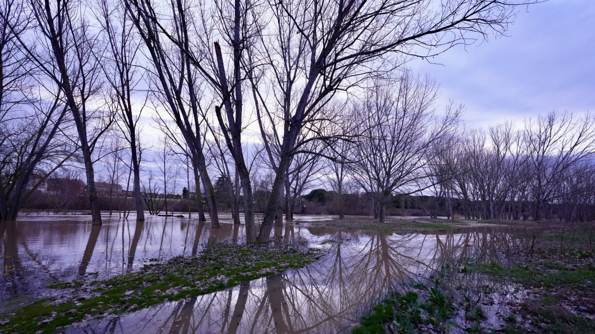 Desbordamiento del Duero a su paso Por Puente Duero