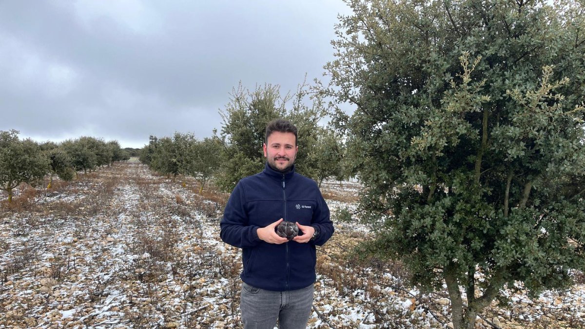 Iván Manchón es el responsable en Truficultura de IDForest.