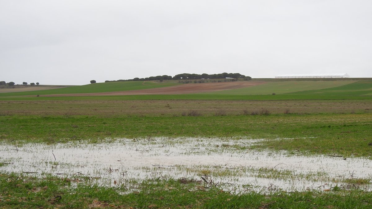 Aspecto del corredero de la Cuesta de los Picos en Nava del Rey.