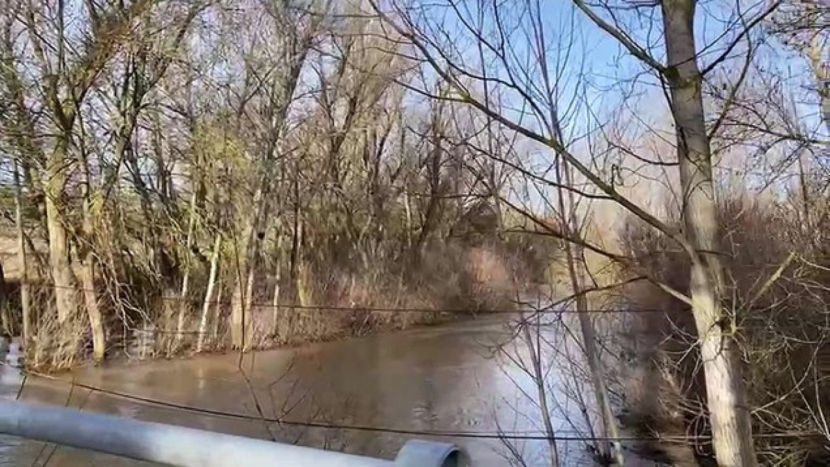 El Duratón se desborda a su paso por Rábano