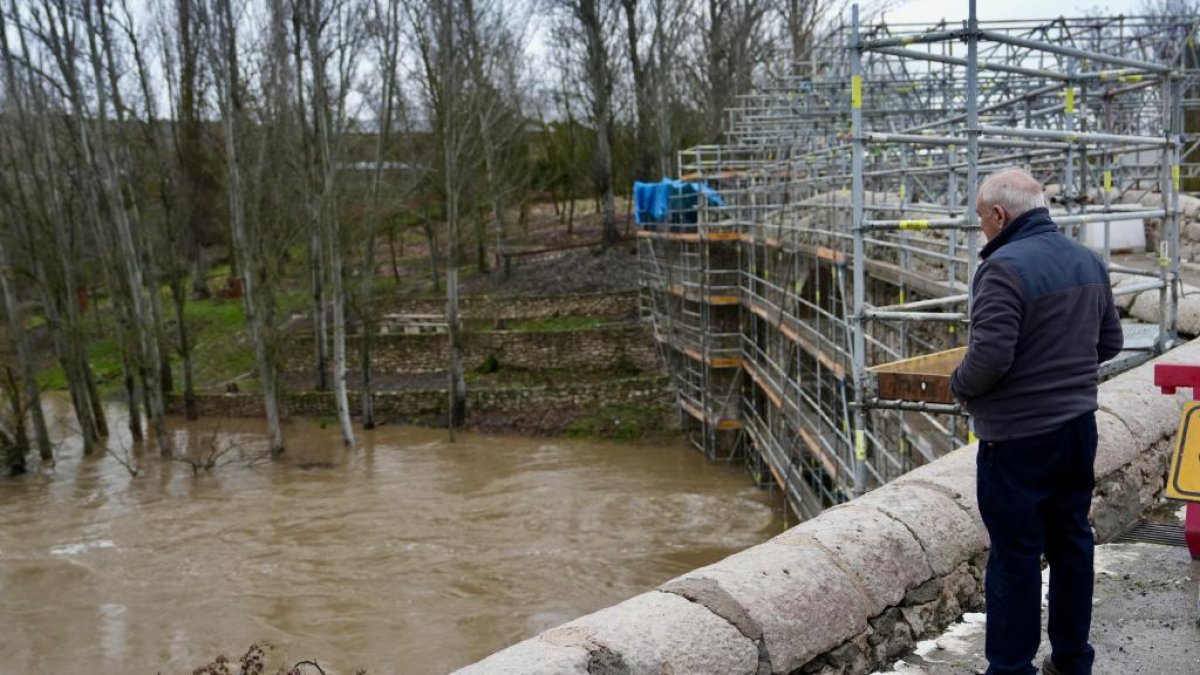 Un hombre observa el Cega a su paso por Megeces en Valladolid.