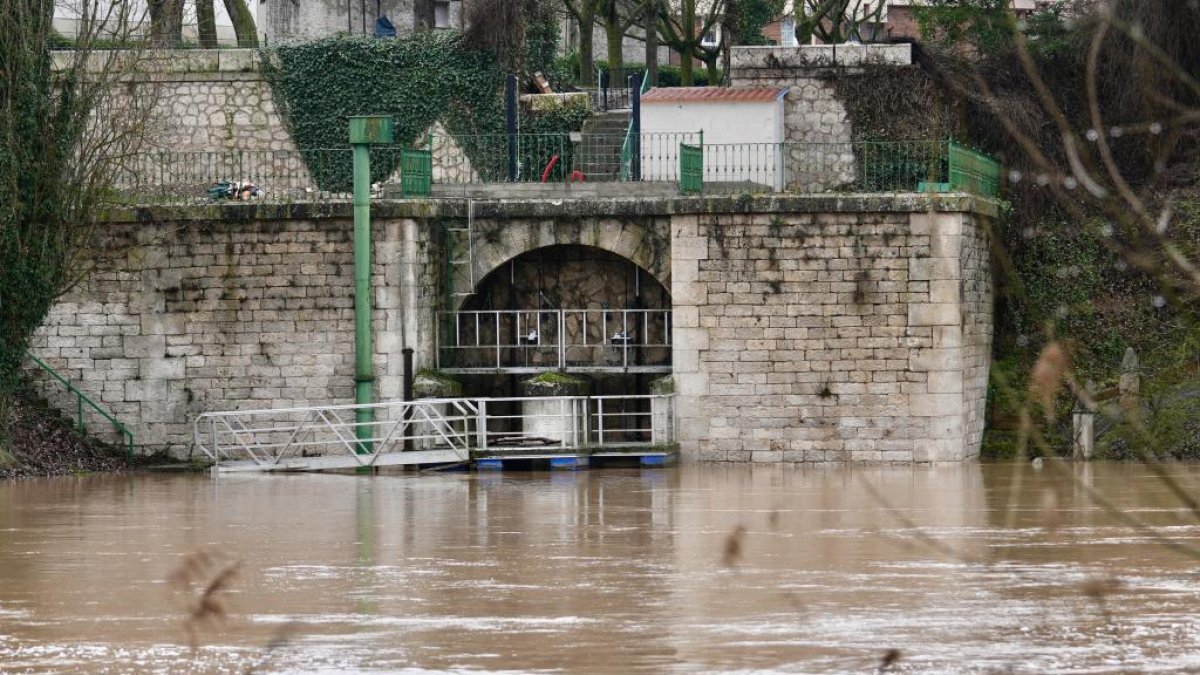 El Duero se desborda a su paso por Quintanilla de Onésimo.