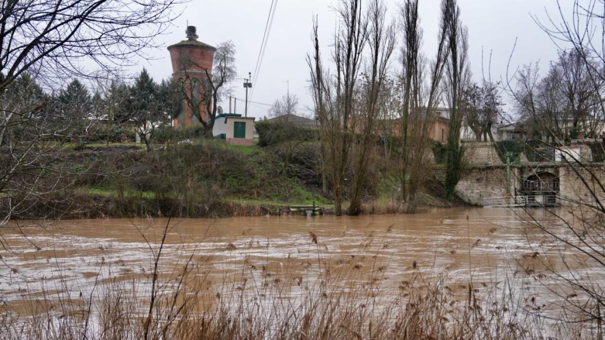 El Duero se desborda a su paso por Quintanilla de Onésimo, en una imagen de archivo.