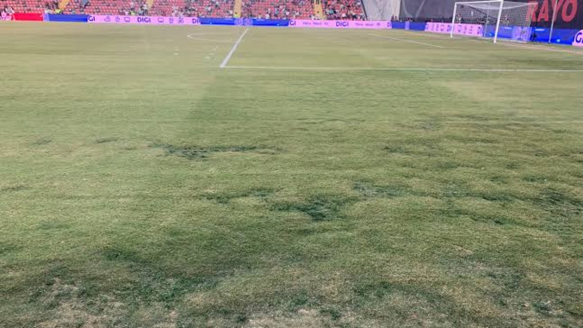 Césped de Vallecas tras la suspensión de su partido ante el Rayo.