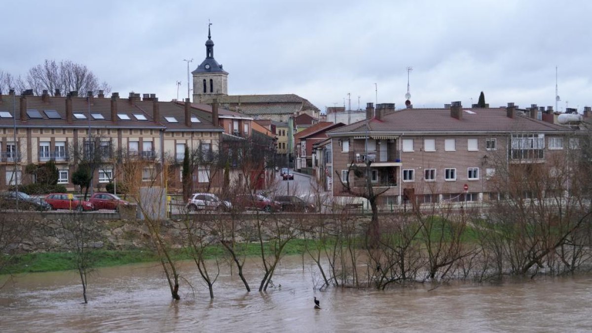Crecida del río Duero a su paso por Tudela de Duero ayer