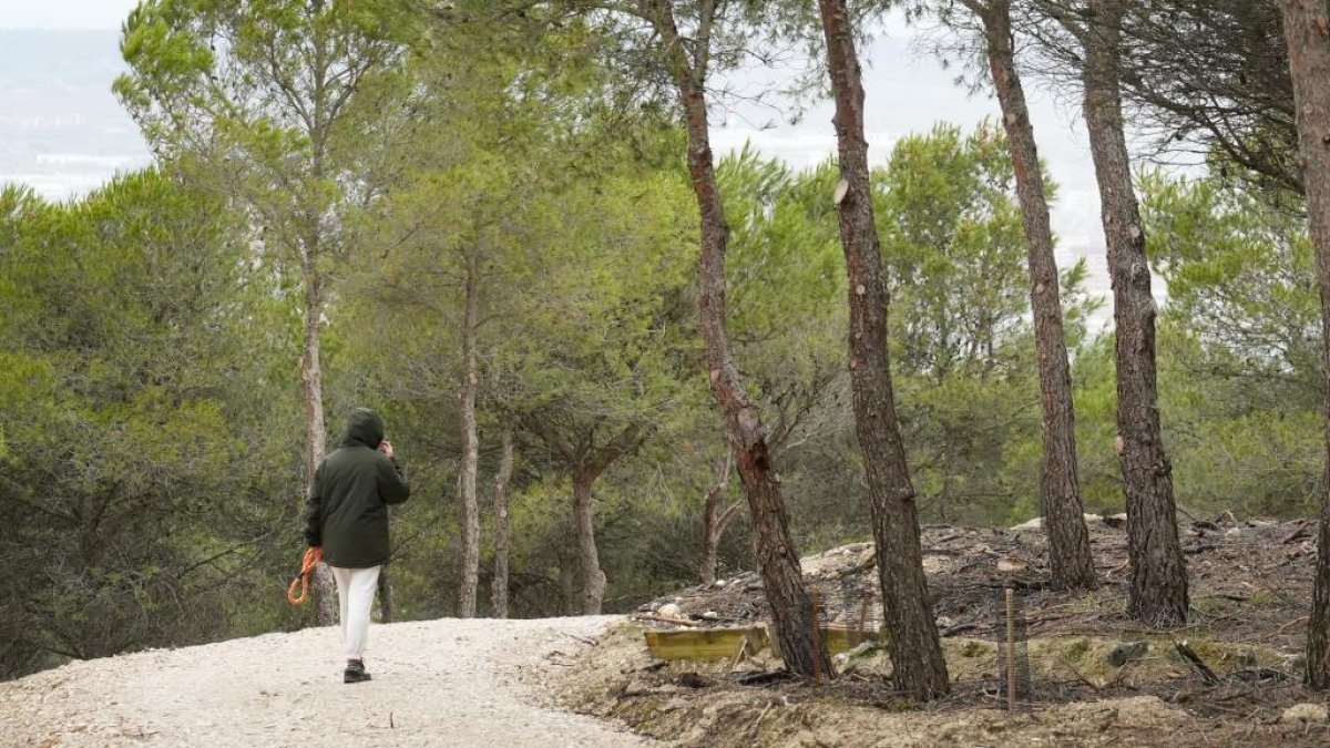 Un paseante recorre los senderos recién arreglados.