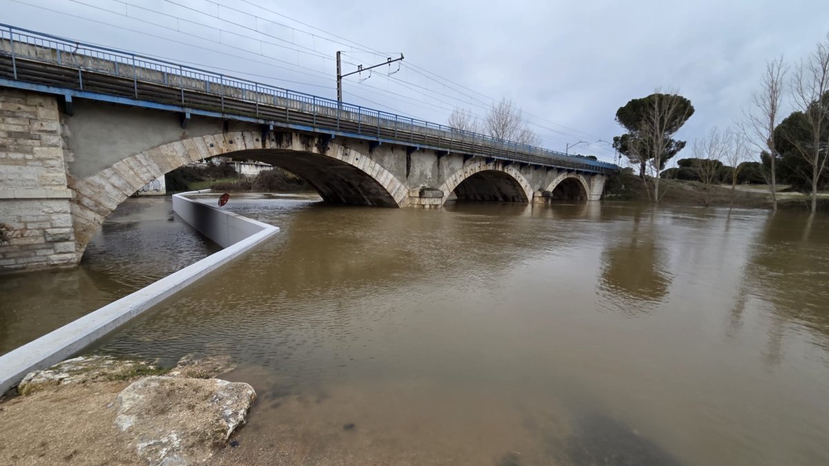 Paso del río Cega a su paso por Viana