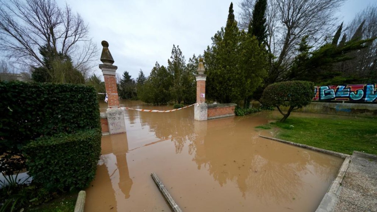Crecida del río en Tudela de Duero