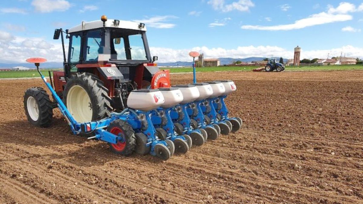 Siembra de garbanzo en la localidad segoviana de  Labajos bajo, en una imagén de archivo.