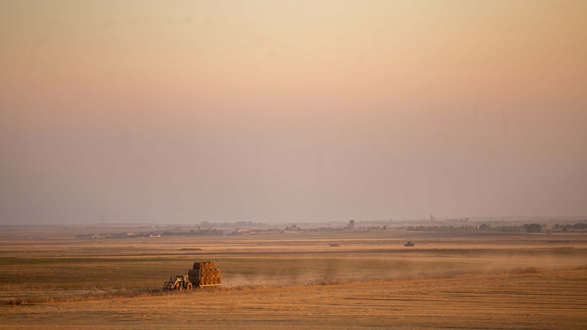 Tierras de cultivo de cereal en Tierra de Campos
