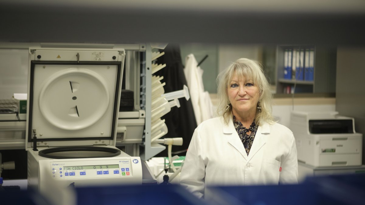 Julia Almeida, catedrática de la Universidad de Salamanca y especialista en hematología y hemoterapia.