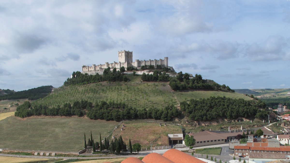 Bodegas Protos, la bodega premiada con el Premio CEOE Castilla y León por la provincia de Valladolid