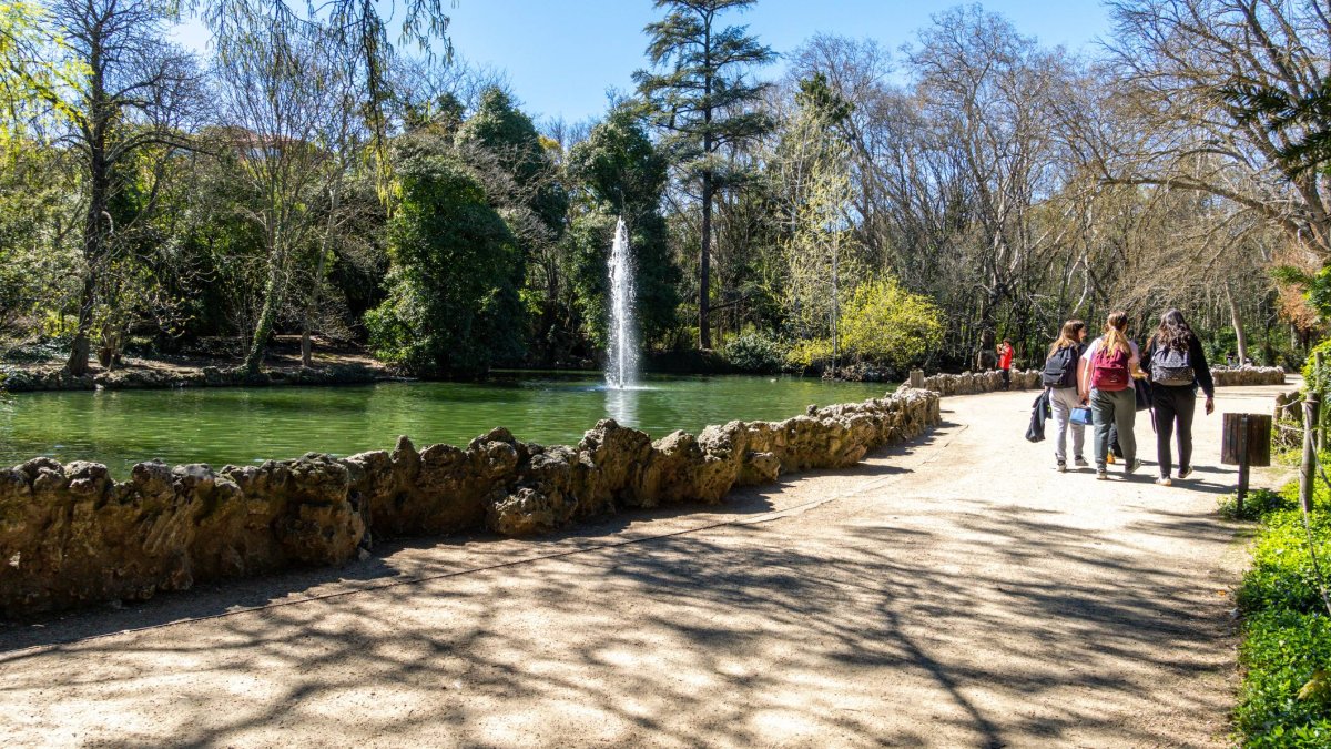 El entorno del estanque, con su cascada y senderos, es uno de los rincones más emblemáticos del parque