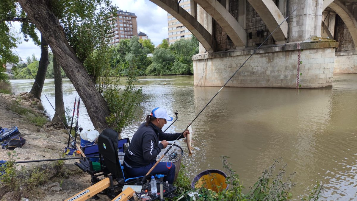 Un aficionado en el concurso de pesca de Agua Dulce Trofeo de San Lorenzo de Valladolid.