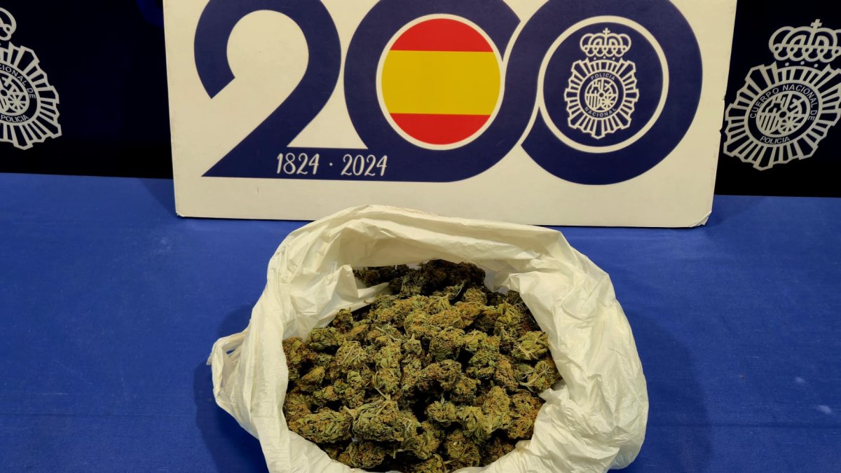 Cogollos de marihuana intervenidos al varón arrestado en la Pilarica