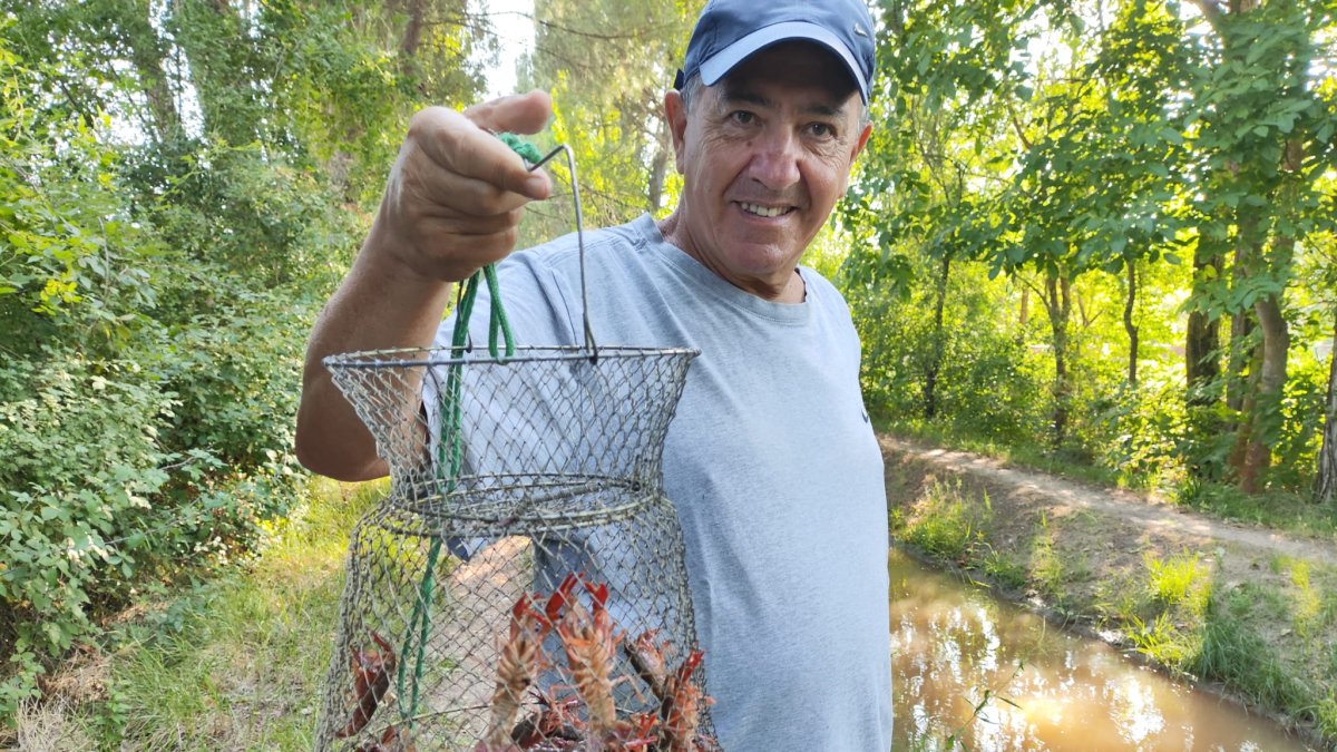 Un aficionado vallisoletanos con varias docenas de cangrejo rojo de las marismas, la pasada temporada.