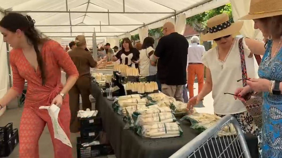 Feria del Espárrago y la Artesanía de Tudela de Duero 2026