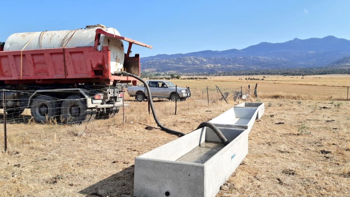 Proceso de instalación de abrevaderos para el ganado en una localidad de Castilla y León.