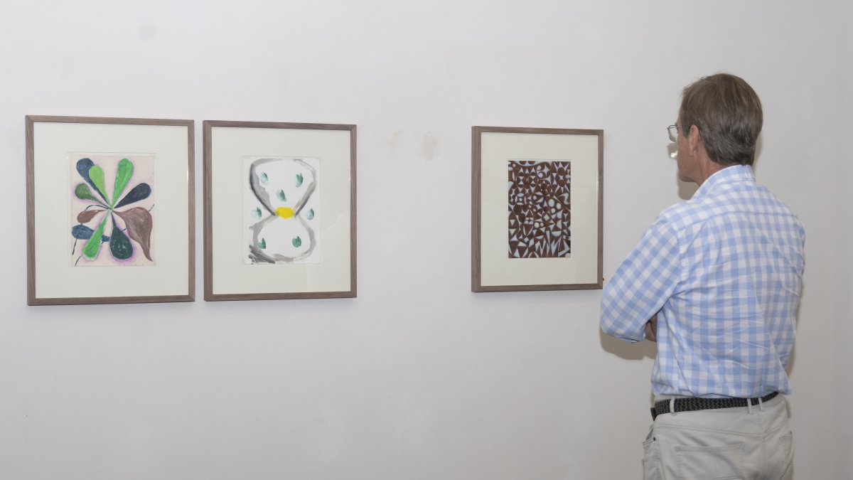 Un hombre contempla algunos de los trabajos de Luis Vassallo: 'Planta', 'Composición puntos' y 'Celosía III'
