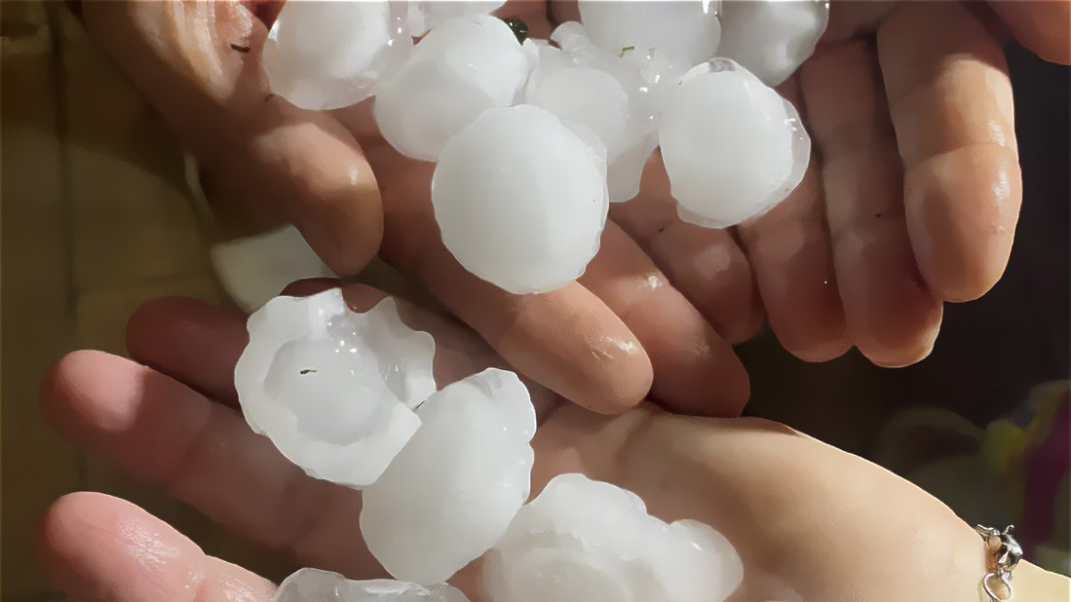 El pedrisco de la tormenta del pasado 28 de junio afectó principalmente a Soria y Burgos.