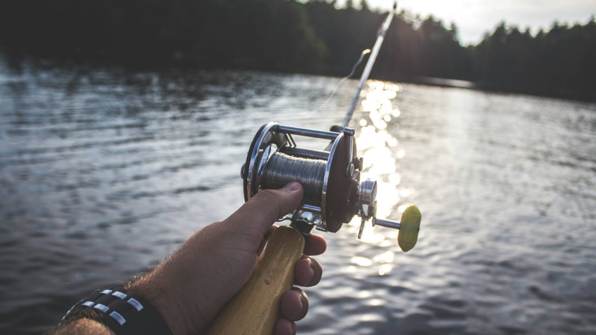 La Junta de Castilla y León establece una normativa específica para la pesca de especies exóticas invasoras como el siluro, que no puede devolverse al agua tras su captura.