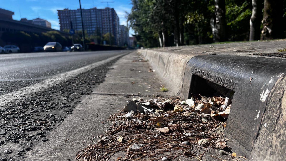 Suciedad en las alcantarillas de Valladolid.