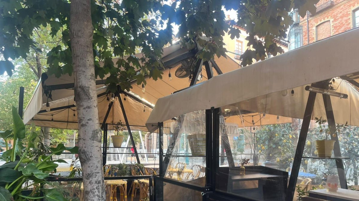 Ranking de los 5 mejores restaurantes según los clientes de TripAdvisor