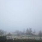 Bancos de niebla durante la jornada del domingo en Valladolid - E.M.