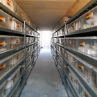 Las cajas con los restos de represaliados, depositadas en estanterías en el memorial del cementerio de El Carmen