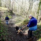 Soto de castaños de la localidad de Villar de los Barrios en Ponferrada designado ‘Bosque del año 2024’