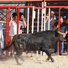 Los aficionados citan al toro en el encierro de la Seca. PHOTOGENIC