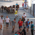 Imagen del encierro de Reses Bravas de Íscar