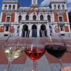 Imagen de copas de vino de diferentes denominaciones de archivo