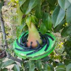 Herramienta Dendofruit de Agerpix para monitorizar el crecimiento de las frutas