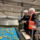 El delegado del Gobierno en Castilla y León, Nicanor Sen, ha visitado esta mañana las instalaciones de ‘Patatas Meléndez’