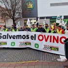 Concentración de los productores de leche de ovino de UCCL en Valladolid. E. M.