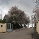 Acceso al centro de menores Zambrana