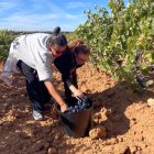 Visitantes disfrutan de una jornada en el viñedo en la bodega.