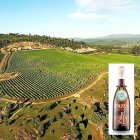 Vista aérea de una de las fincas del Pazo de Rubianes, en la pontevedresa Villagarcía de Arosa, y una de las cuatro referencias de la bodega.