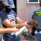 Agentes del Seprona rescatan un gallo durante la redada en Tordesillas. A la derecha, el reñidero.-GUARDIA CIVIL