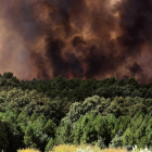 Las llamas amenazan arrasar un bosque en la cercanías de Palaciosmil (León)-Ical