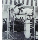 El coronel Autrán Arias-Salgadorealiza un salto a lomos de Escabullido.-E.M.