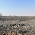 Devastadora imagen del incendio de Losacio en Zamora. ICAL