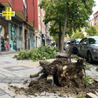 Restos de árboles y ramas en las aceras por las fuertes rachas de viento.- ICAL