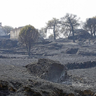 Imagen del incendio en Pinilla de Fermoselle-EL MUNDO