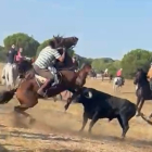 Caballo corneado en Tordesillas. -E.M.